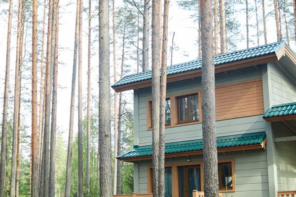 A house in the trees.